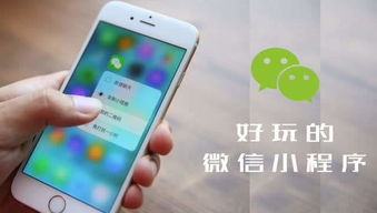 小店直播賣(mài)貨小程序定制開(kāi)發(fā)