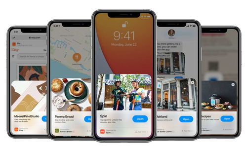 系統(tǒng)集成 發(fā)展空間依然廣闊，商城網站與App定制前景可期