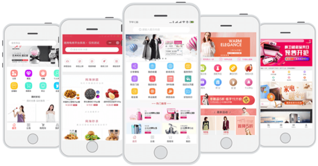 隨商企業(yè)級B2B2C多用戶商城系統(tǒng) 定制化商城網站與APP開發(fā)解決方案